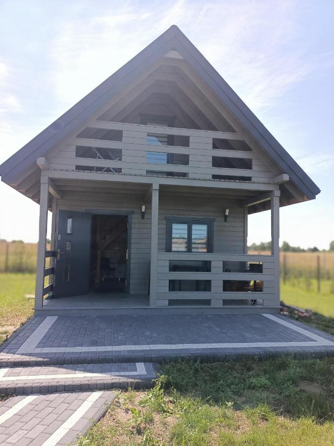 Karla Villa Plesna  Exterior photo